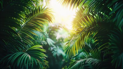 Fototapeta premium Beautiful magical palm, fabulous trees. Palm Forest jungle landscape, sun rays illuminate the leaves and branches of trees. Magical summer. 3d illustration
