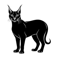 Cat Vector Design