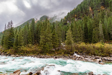 Fototapeta premium Alpine river flowing through forest valley near Krimml Waterfalls in the Austrian Alps on a cloudy day