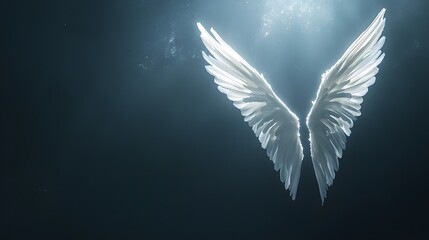 Majestic White Wings In Dark Backdrop