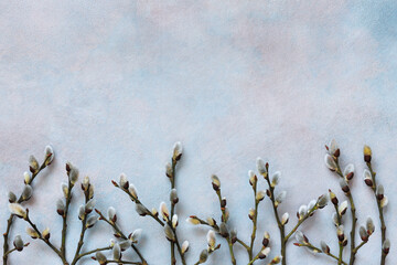 Obraz premium Decorative background with willow branches, copy space. Easter, Palm Sunday