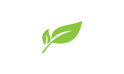 green leave vector