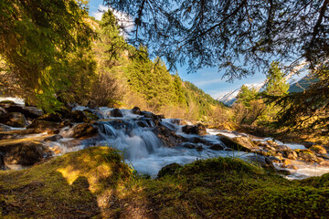 Cascading mountain stream with smooth flowing water between rocks and trees in the Krimmler Achental, Austria