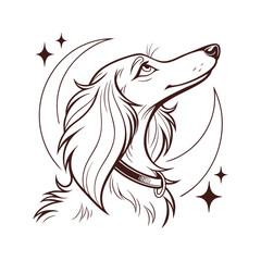 glamorous dog with long-ears--fluffy and long-eye vector illustration