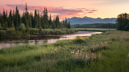 Naklejka premium sunset over the river