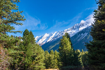 Fototapeta premium alpine valley with snowy mountains in the Krimmler Achental, Austria