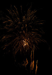 Stunning fireworks display during the 2025 New Year celebrations captured in vivid detail. A...