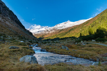 Obraz premium Alpine river with snowy mountains and forest in the Krimmler Achental, Austria