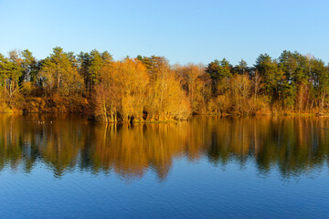 Pond in the Sorques plain sensitive natural area. French Gâtinais Regional Nature Park