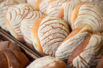 Pan de concha. Mexican sweet bread at a street food stand in Oaxaca.