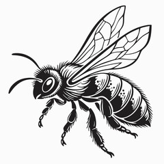 Honeybee Black silhouette