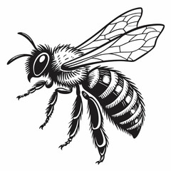 Honeybee Black silhouette