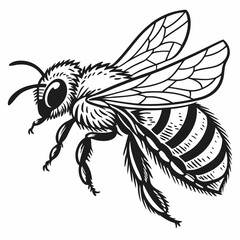 Honeybee Black silhouette