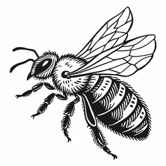 Honeybee Black silhouette