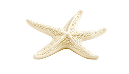 A beige starfish with five arms, showcasing its textured surface.