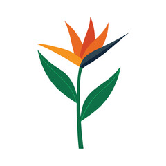 Strelitzia Flower Vector Illustration - Cartoon, Clipart, and Line Art Design for Print.eps