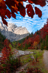 Colorful autumn landscape at Großer Ahornboden in the Karwendel Mountains, Austria – forest with fall foliage, rocky peaks and dramatic sky