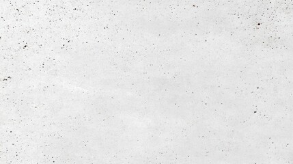 Obraz premium A textured, light gray concrete surface with subtle imperfections.