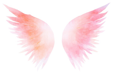 Fototapeta premium PNG Angel wings petal white background archangel.