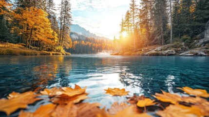 Obraz premium Autumn lake sunrise, mountain backdrop, floating leaves.
