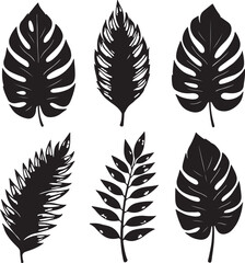 Tropical leaves. Set of hand drawn illustration. Vector. Isolated