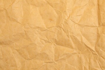 Fototapeta premium Paperboard Bag Wrinkled