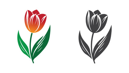 Tulip Flower vector art on isolated background. Silhouette and with color for spring and summer season.
