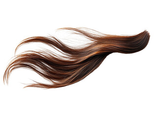 Brown Hair Strand Isolated on White