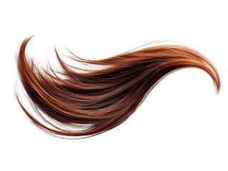 Auburn Hair Strand, Swirling Lock of Reddish-Brown Hair