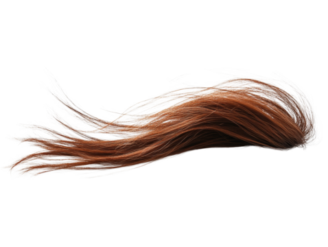Auburn Hair, Isolated on White Background