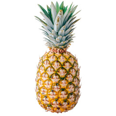 Fresh Ripe Pineapple Tropical Fruit  Summer Food  Healthy Eating