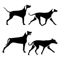 Flat design animals silhouette set collection logo icon