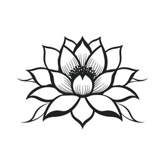 lotus flower isolated on white background