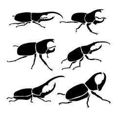 Horn beetle silhouette Flying insects wildlife collection