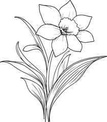 Graceful Daffodil Line Art