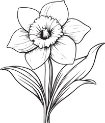 Graceful Daffodil Line Art