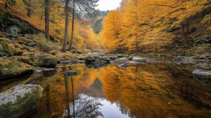 A serene autumn landscape with vibrant orange trees reflected in a calm river.