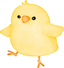 watercolor baby chick