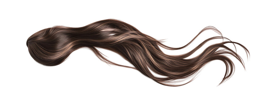 A flowing strand of long, dark brown hair against a transparent background.
