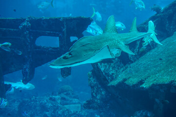 Fototapeta premium Singapore, Asia, a large pool of water