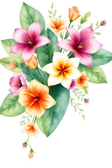 Obraz premium A vibrant floral arrangement featuring pink and white hibiscus flowers with lush green leaves on a white background. Greeting or wedding card decoration.