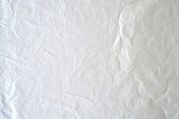A blank white poster serves as a canvas for creativity and expression.