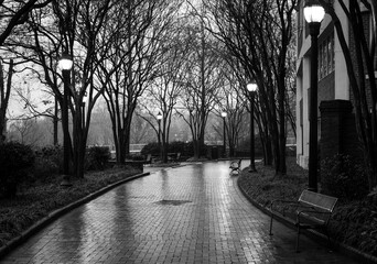 sunset on the street in black and white