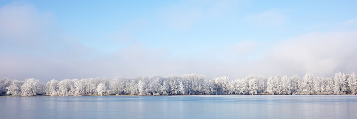 B&auml;ume an einem See im Winter