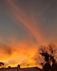 sunset in the forest