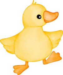 watercolor duckling