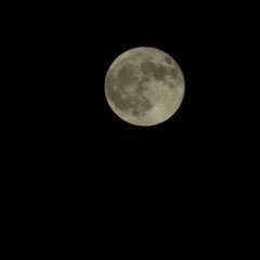 full moon in the night sky