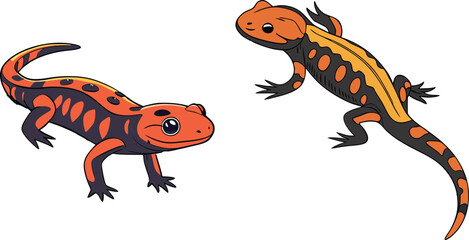 Obraz premium Salamander bundle design art and illustrator eps
