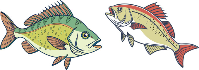 Bream-fish bundle design art and illustrator eps