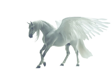 A majestic white winged horse, symbolizing fantasy and grace.